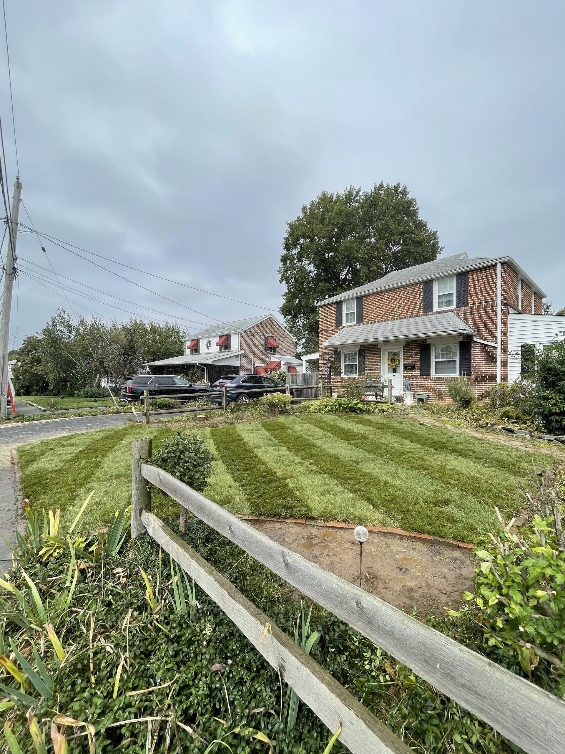 Striped cut lawn with a sharp bed edge and a blown-clean walkway