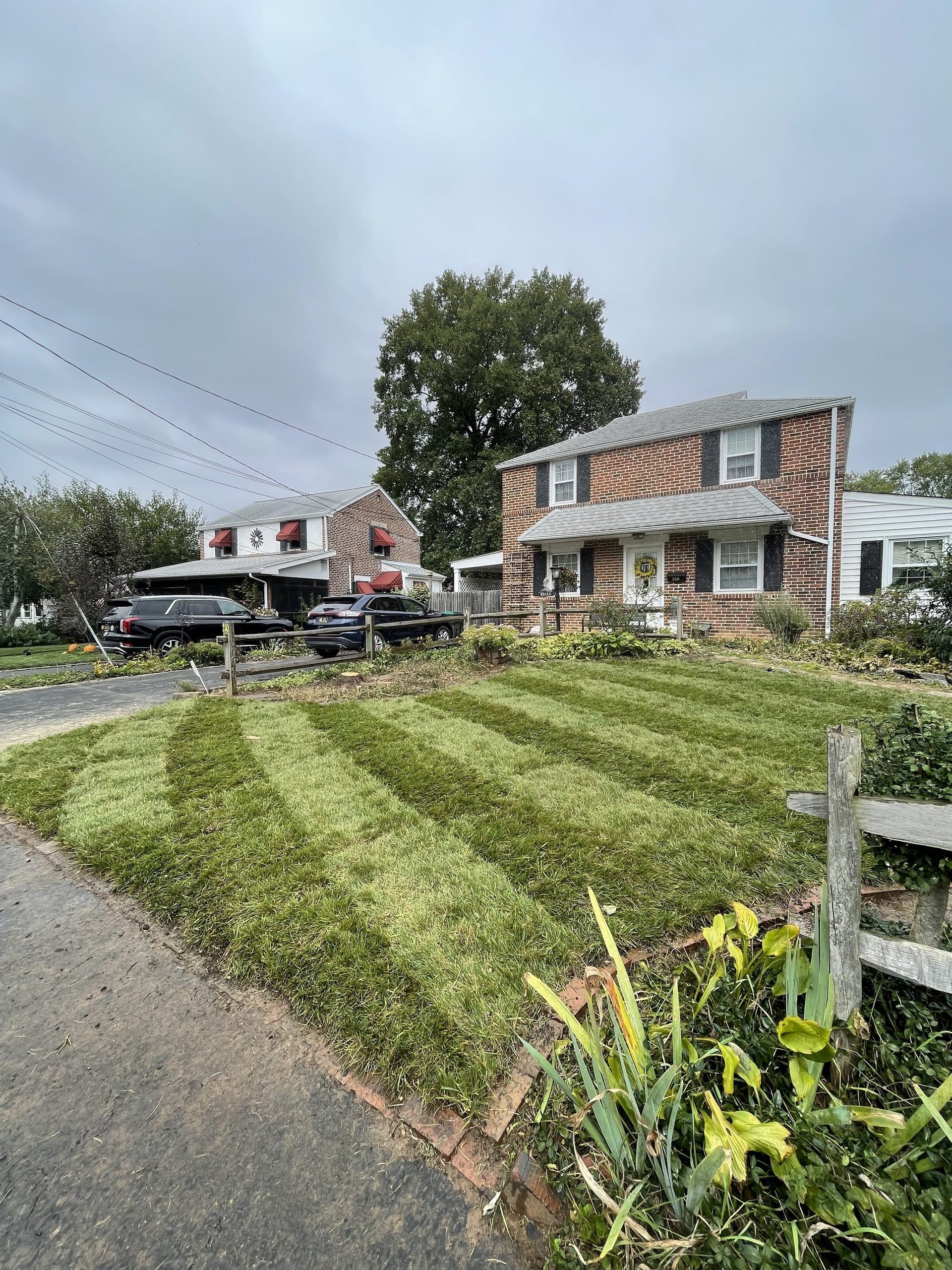 Striped cut lawn with a sharp bed edge and a blown-clean walkway
